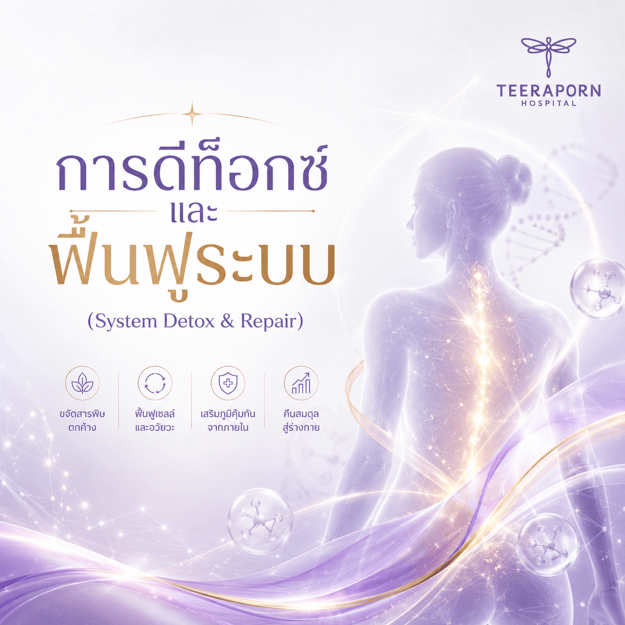 การดีท็อกซ์และฟื้นฟูระบบ