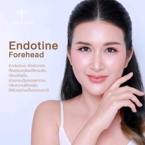 เอนโดไทน์