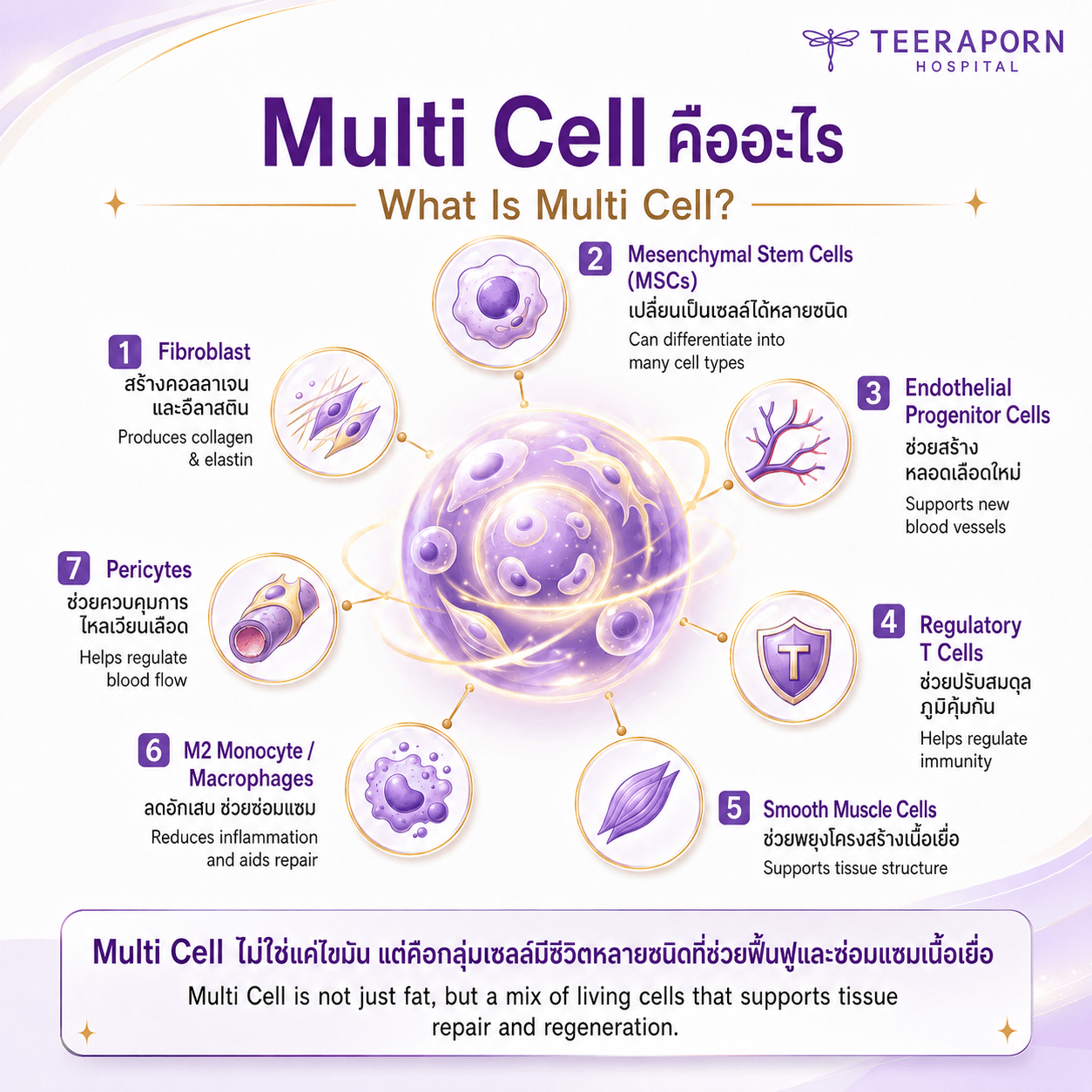multi cell คืออะไร